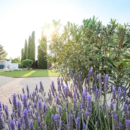 Bed & Breakfast Boutique Casa Paco - Adults Only *